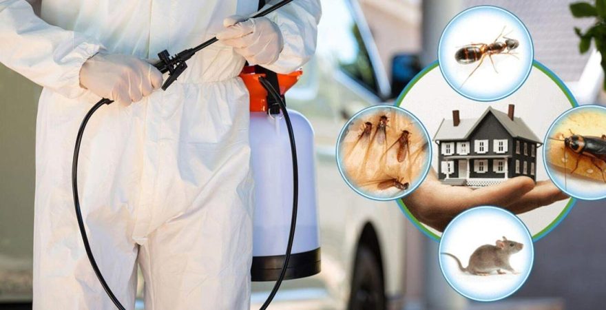 Kepez Böcek İlaçlama