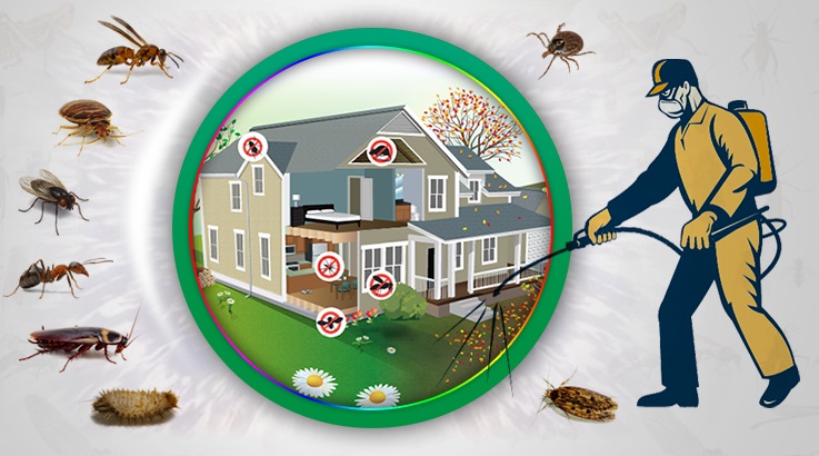 Kepez Böcek İlaçlama