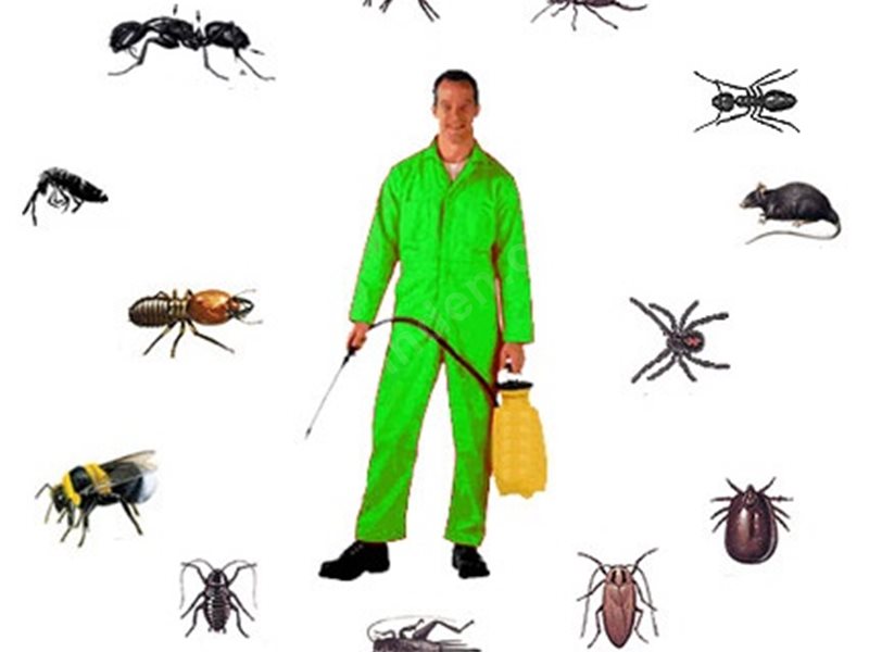 Kepez Böcek İlaçlama